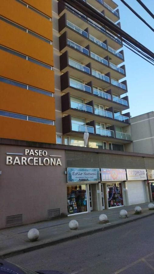 Apartment Depto.barcelona Rucakawi Temuco